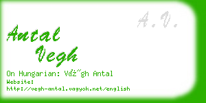 antal vegh business card